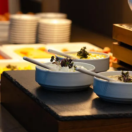 Intercityhotel فندق