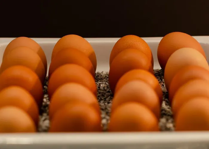 Intercityhotel 4* غراتس